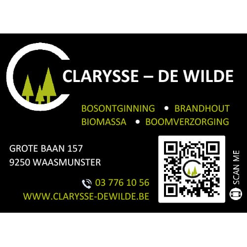 Clarysse De Wilde